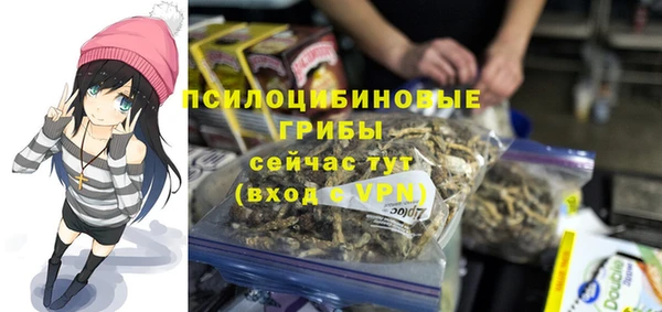 ПСИЛОЦИБИНОВЫЕ ГРИБЫ Алексин