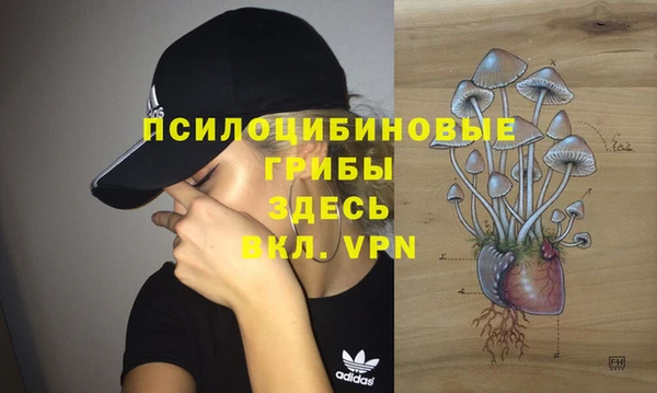 ПСИЛОЦИБИНОВЫЕ ГРИБЫ Алексин
