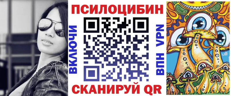 Галлюциногенные грибы Psilocybe  сколько стоит  маркетплейс наркотические препараты  Нижний Тагил 