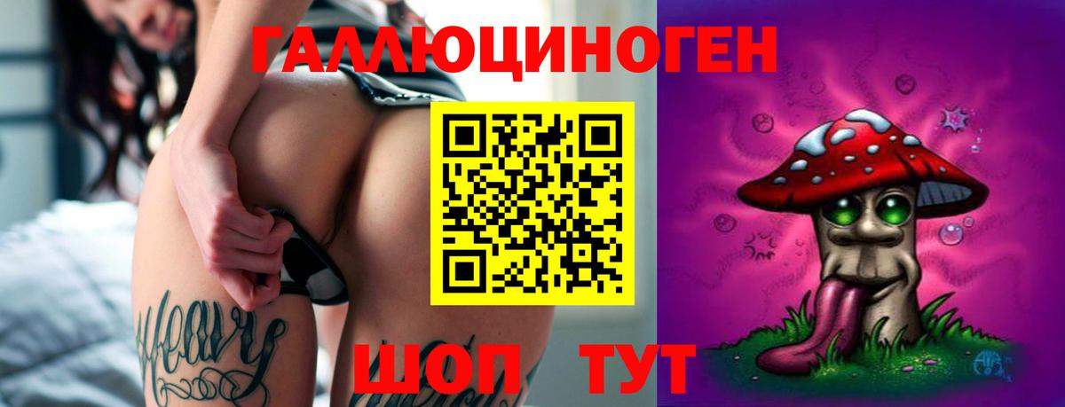 Галлюциногенные грибы Psilocybine cubensis  Вход с VPN  Нижний Тагил 